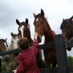 woman in red and white checkered dress shirt standing beside brown horse during daytime